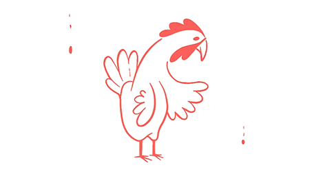 chicken